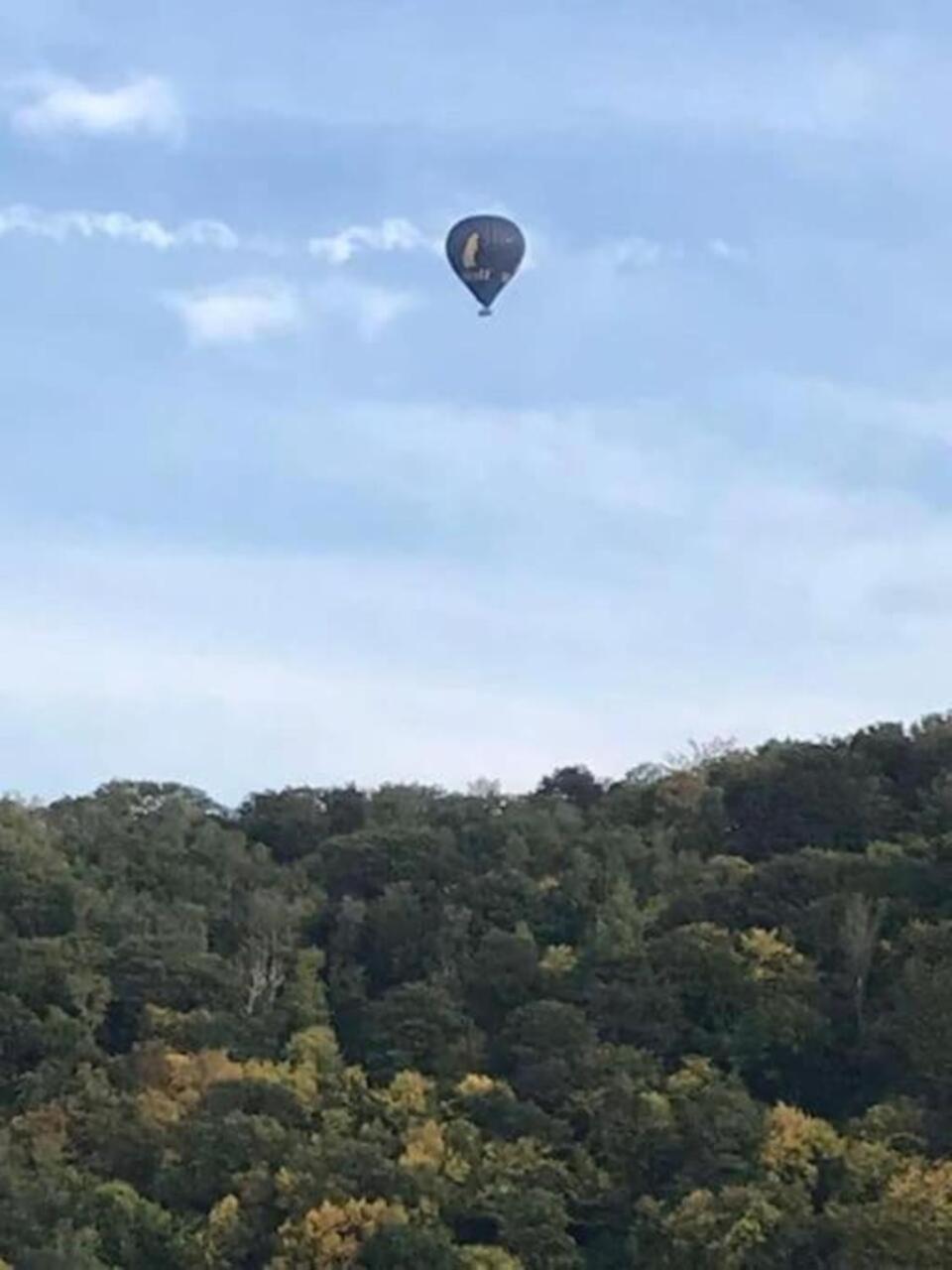 Le Sentier Des Lavandes Vresse-sur-Semois Luaran gambar