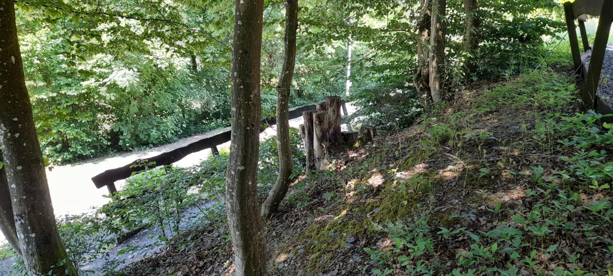 Le Sentier Des Lavandes Vresse-sur-Semois Luaran gambar