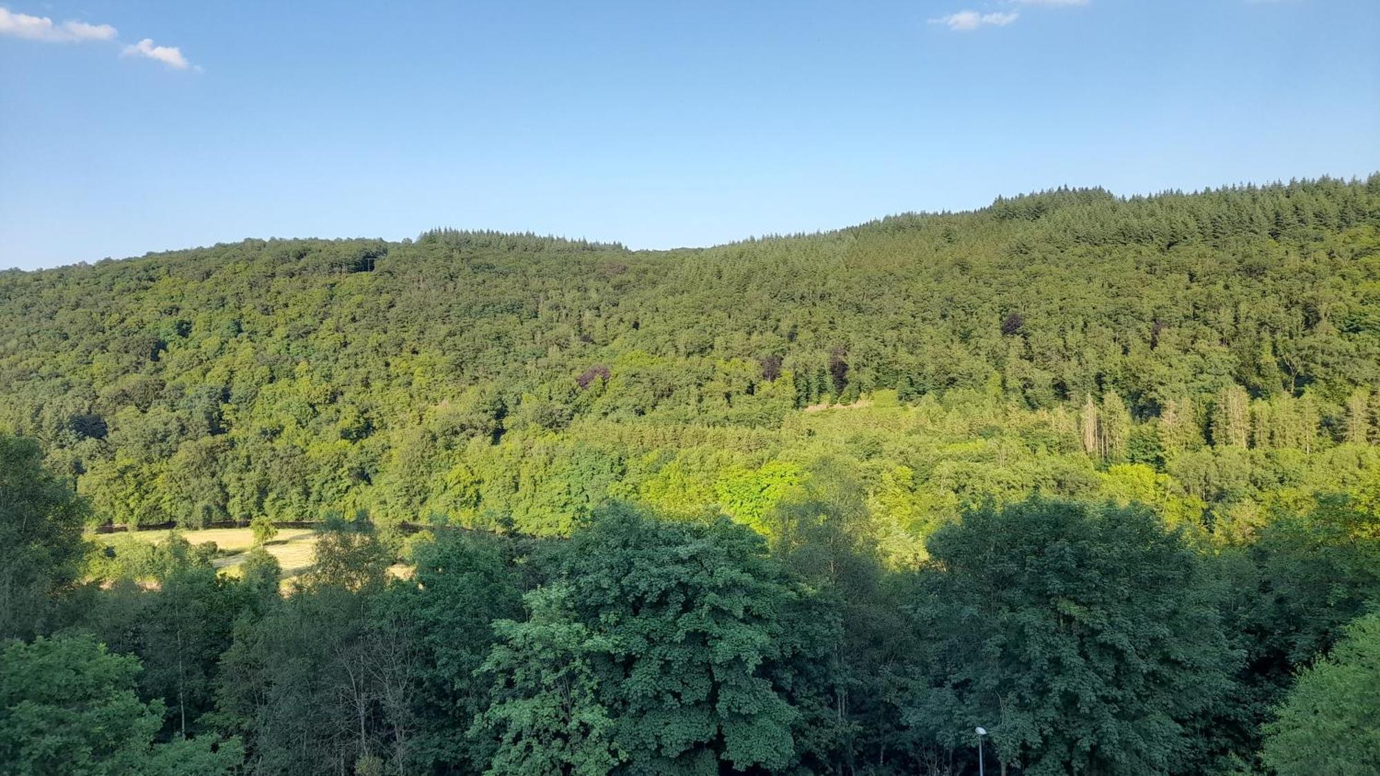 Le Sentier Des Lavandes Vresse-sur-Semois Luaran gambar
