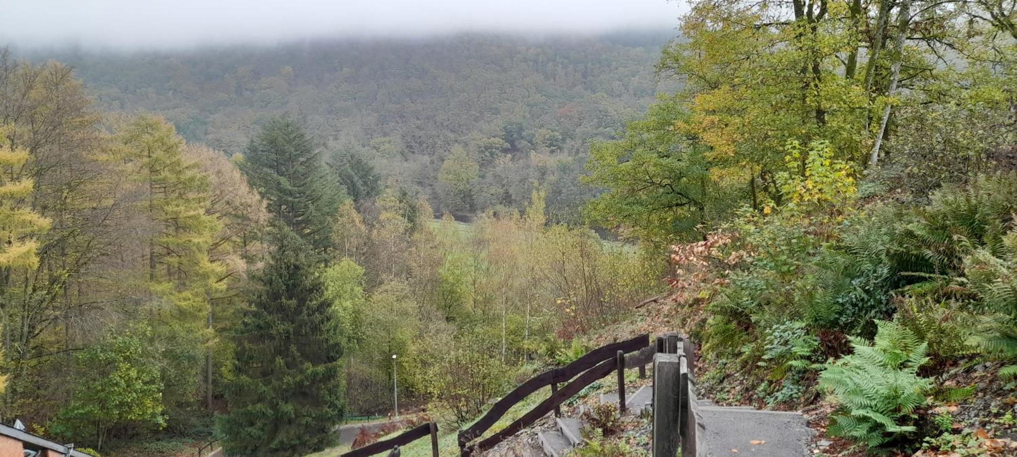 Le Sentier Des Lavandes Vresse-sur-Semois Luaran gambar