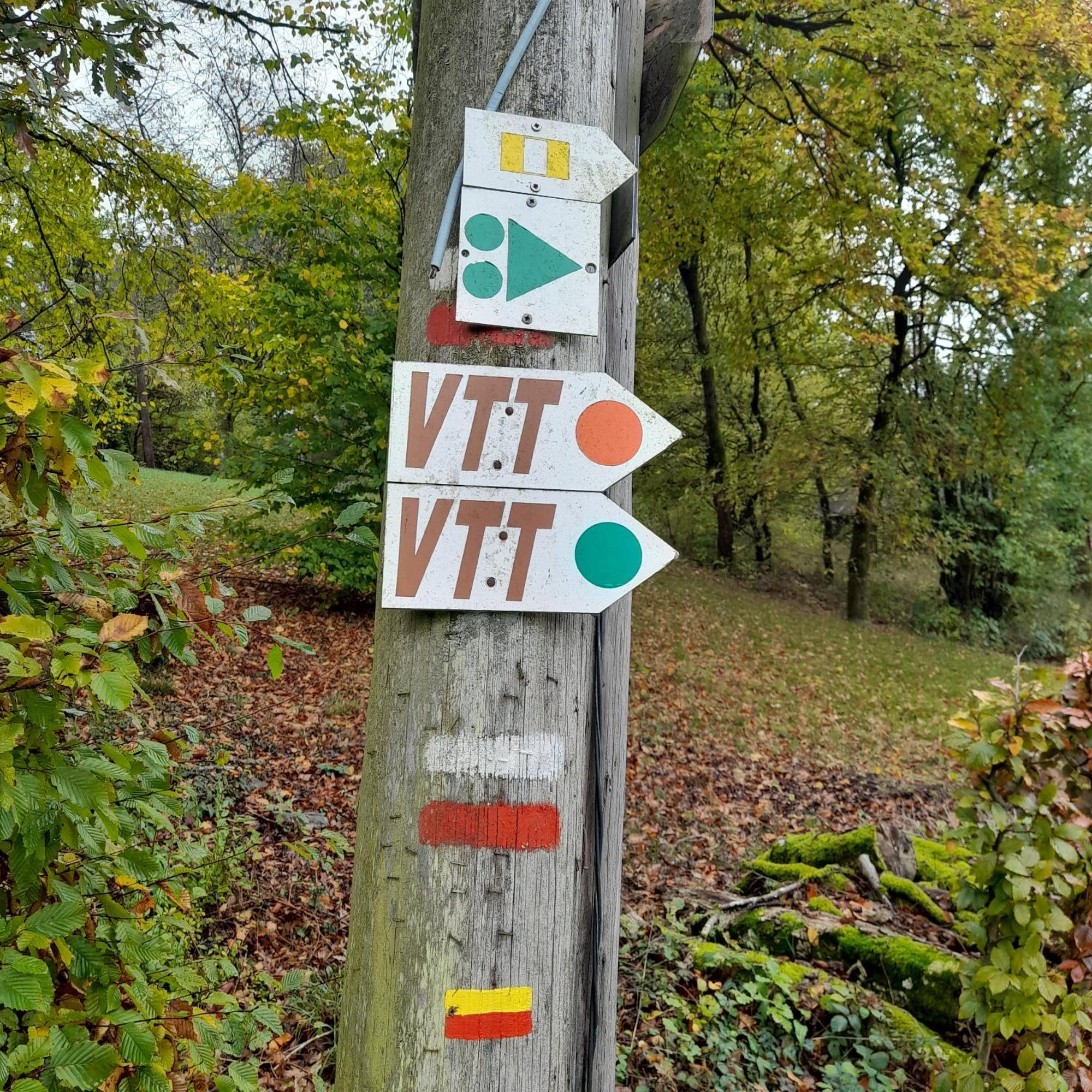 Le Sentier Des Lavandes Vresse-sur-Semois Luaran gambar