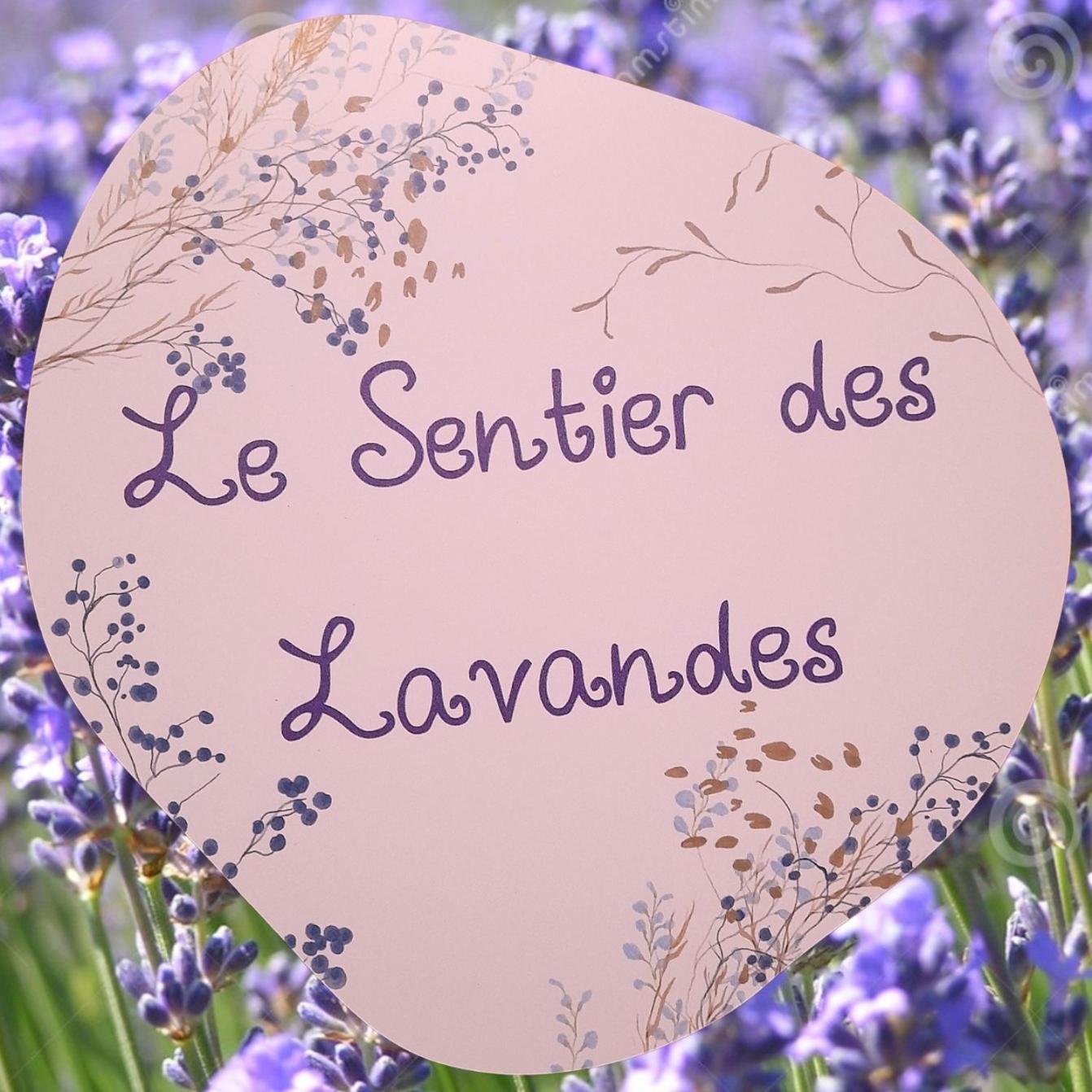 Le Sentier Des Lavandes Vresse-sur-Semois Luaran gambar